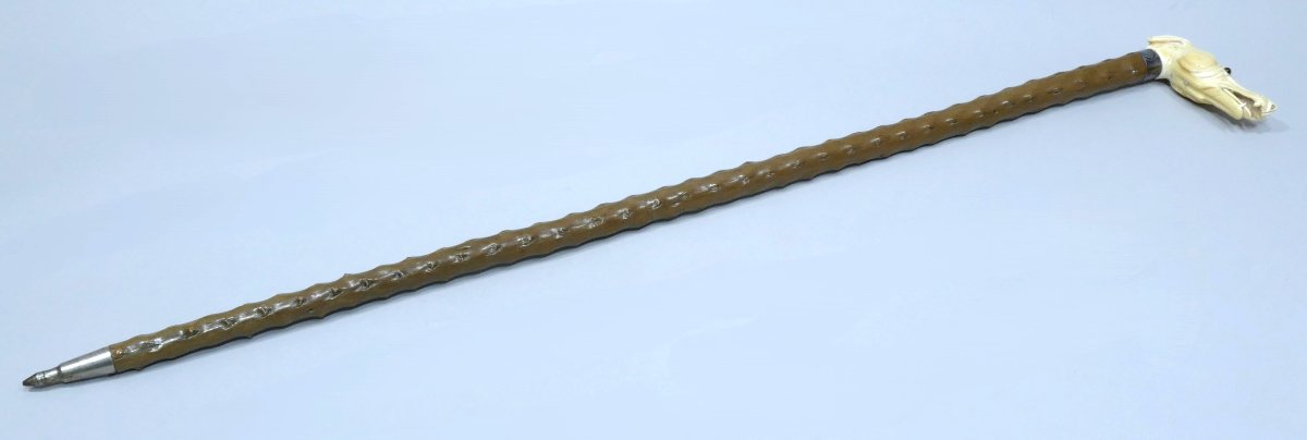 Collectible Cane With Ivory Handle Representing A Greyhound-photo-4