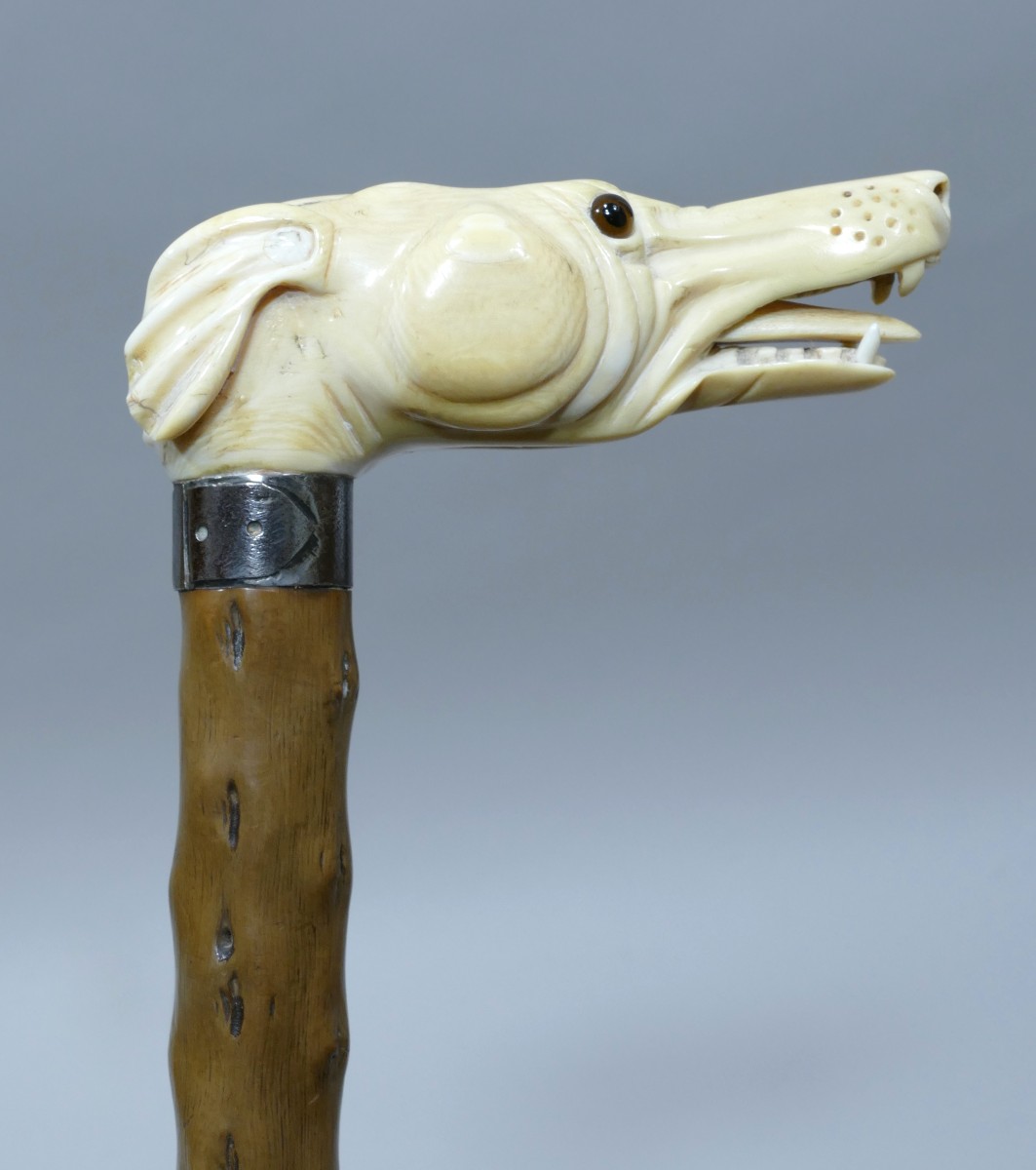 Collectible Cane With Ivory Handle Representing A Greyhound