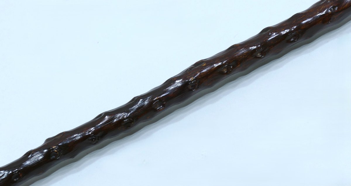 Canne de collection avec pommeau en bois représentant la tête de George Clemenceau-photo-3