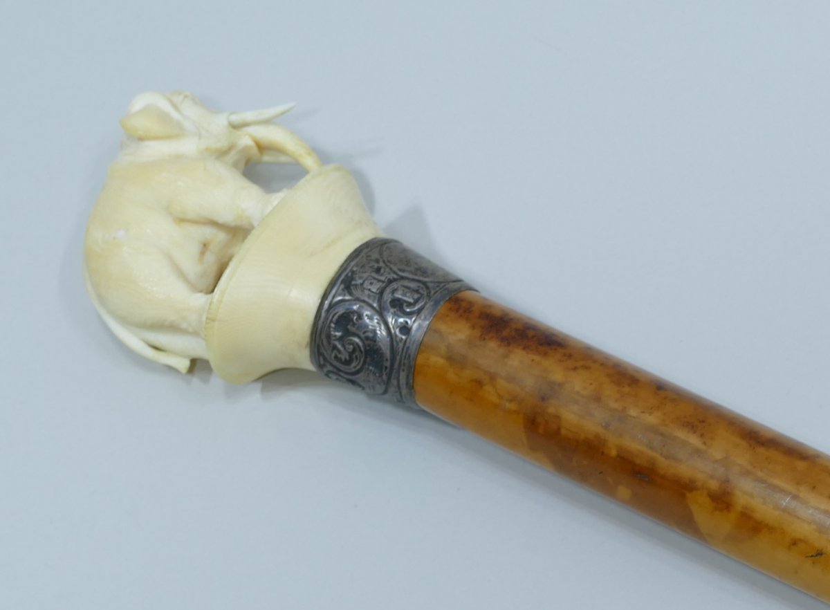 A Charming, Pretty Cane With An Ivory Handle Depicting An Elephant And A Mouse-photo-3
