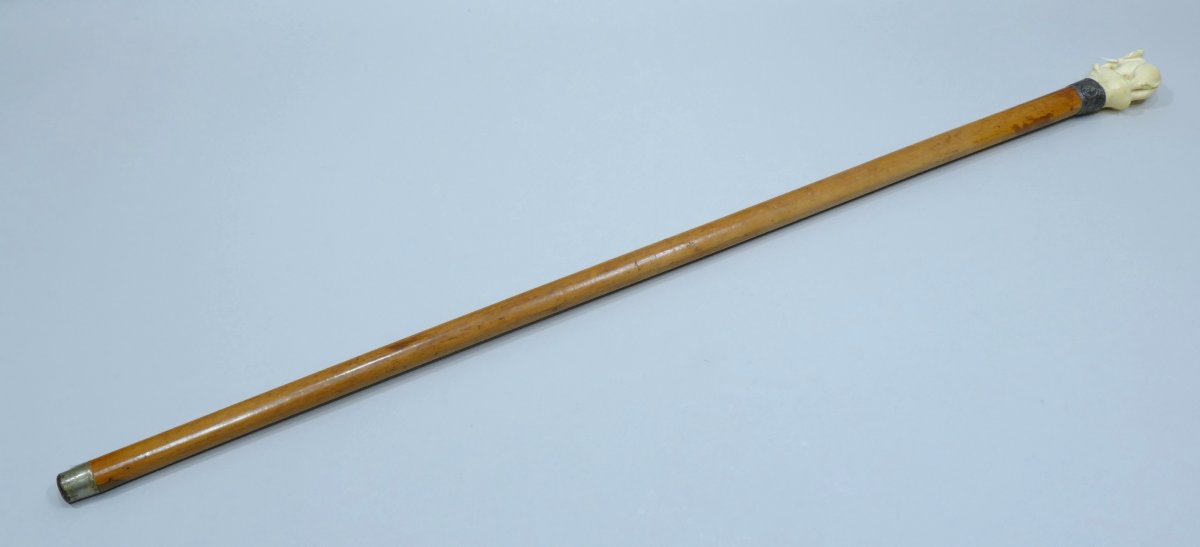 A Charming, Pretty Cane With An Ivory Handle Depicting An Elephant And A Mouse-photo-4