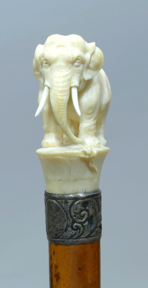 A Charming, Pretty Cane With An Ivory Handle Depicting An Elephant And A Mouse