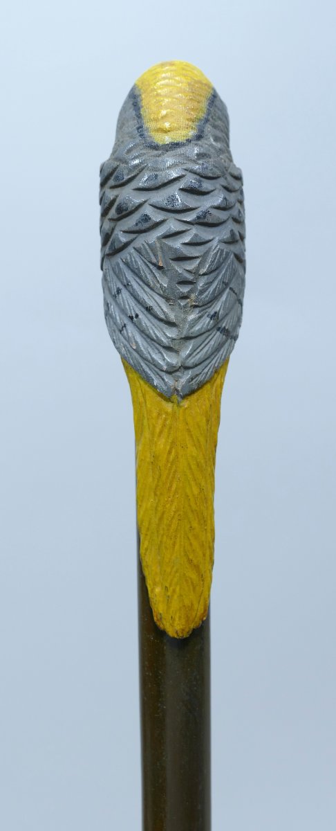 Canne de collection avec pommeau en bois sculpté polychrome représentant un perroquet-photo-4