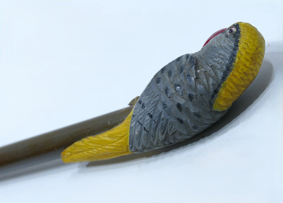 Canne de collection avec pommeau en bois sculpté polychrome représentant un perroquet-photo-1