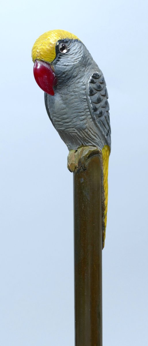Canne de collection avec pommeau en bois sculpté polychrome représentant un perroquet