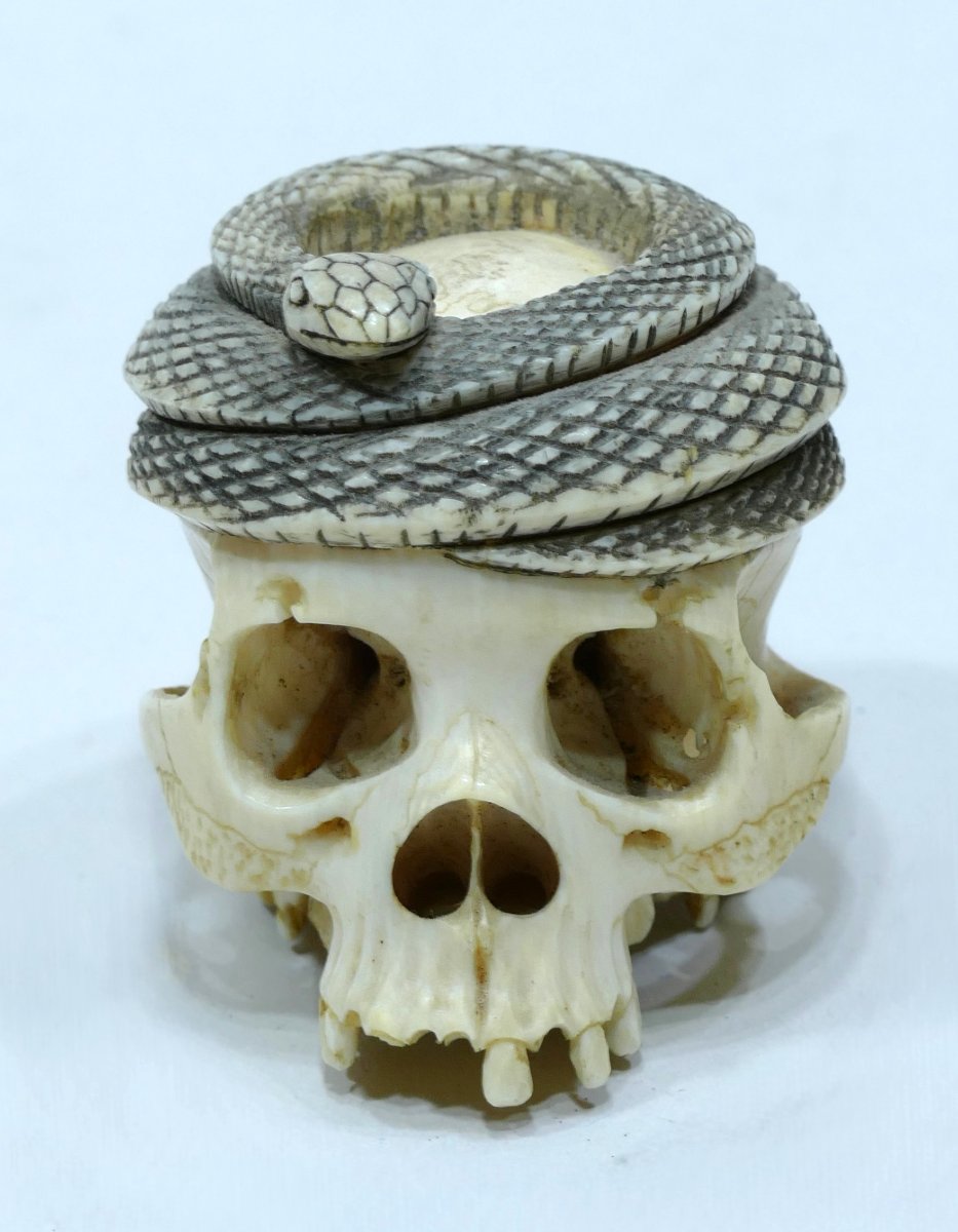 Memento Mori en ivoire d'origine japonaise datable de la fin du 19ème siècle