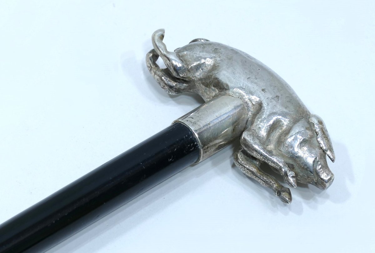 A 19th-century Collector's Cane With A Silver Handle On The Rare Pig Theme-photo-1