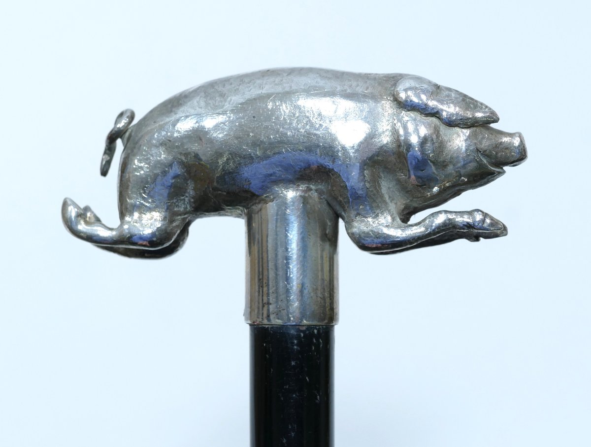 A 19th-century Collector's Cane With A Silver Handle On The Rare Pig Theme