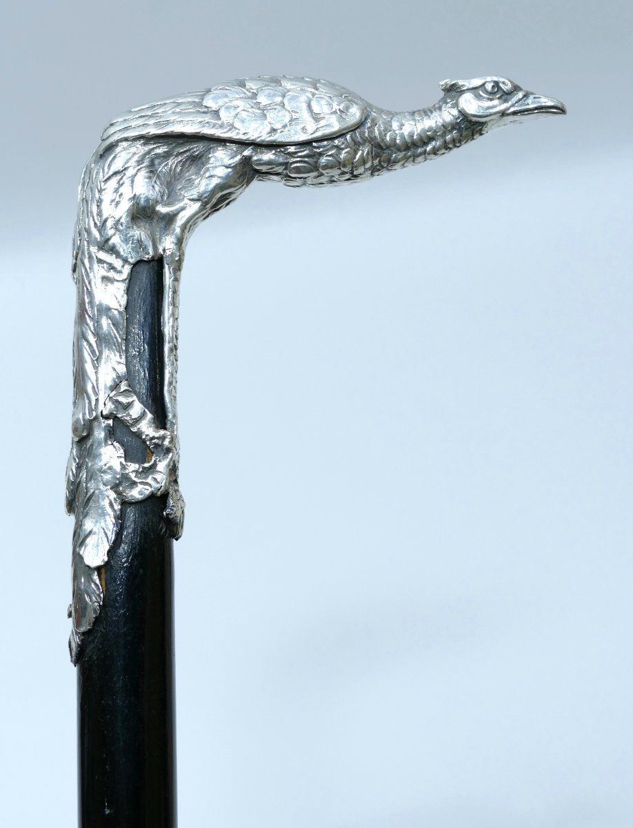 Canne de collection Art Nouveau avec beau pommeau en argent représentant un paon-photo-2