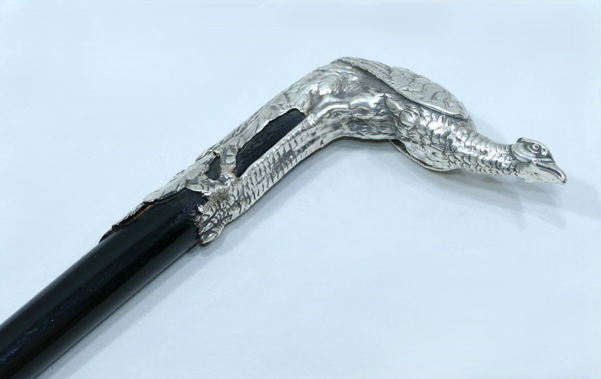 Canne de collection Art Nouveau avec beau pommeau en argent représentant un paon-photo-3