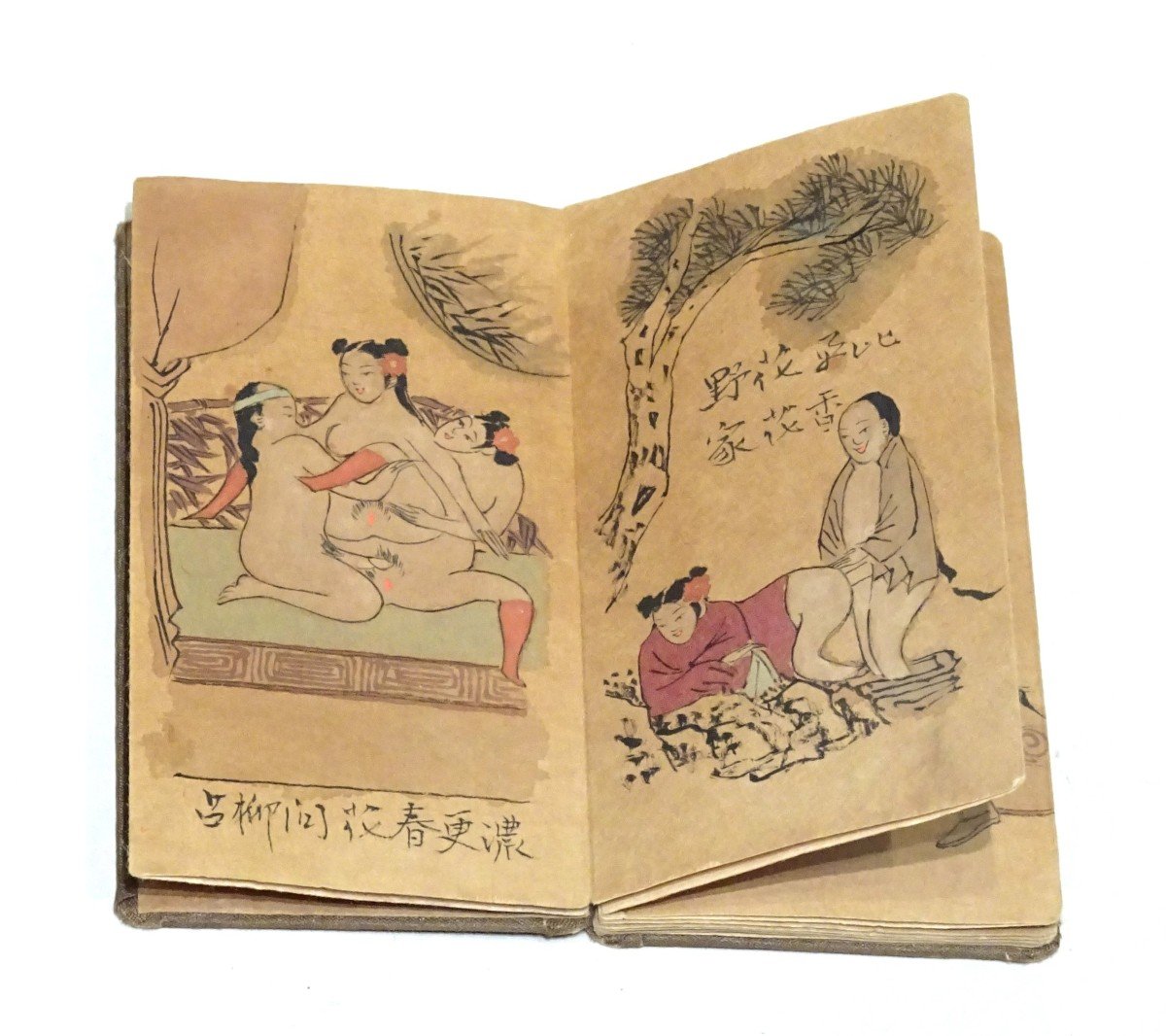 Instruction Book For The Betrothed - China XIXth Century-photo-2