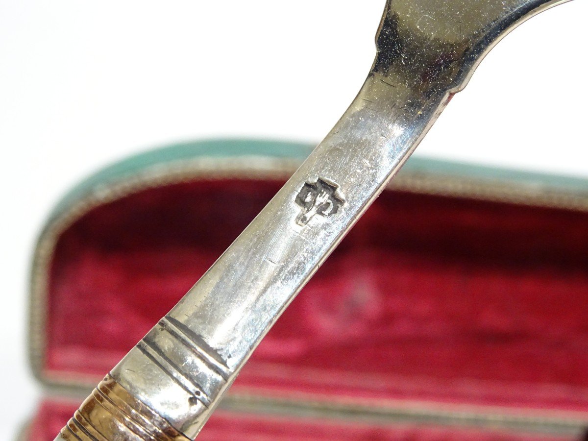 Set Of Cutlery With Shagreen Case - France Made Circa 1795.-photo-4