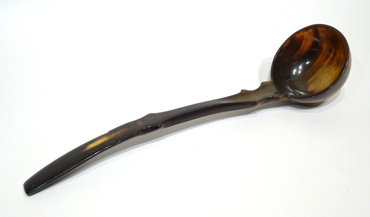 Very Large Size Horn Ladle - 19th Century Work