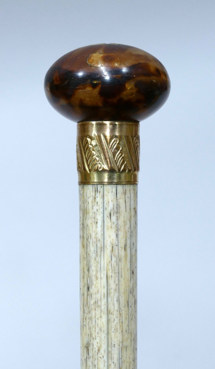 Sailor Cane In Tortoise Shell And Whale Bone - 19th Century