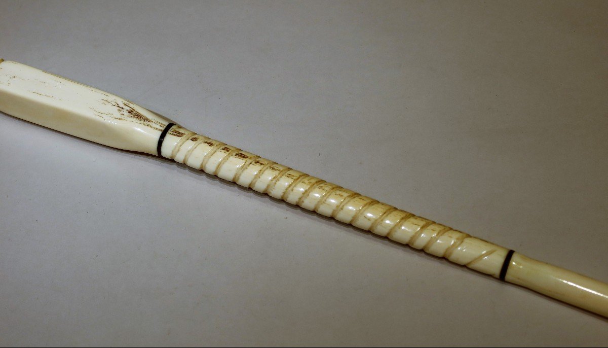 Collection Cane Composed Of Six Pieces Of Ivory Datable Around 1900/1910-photo-2