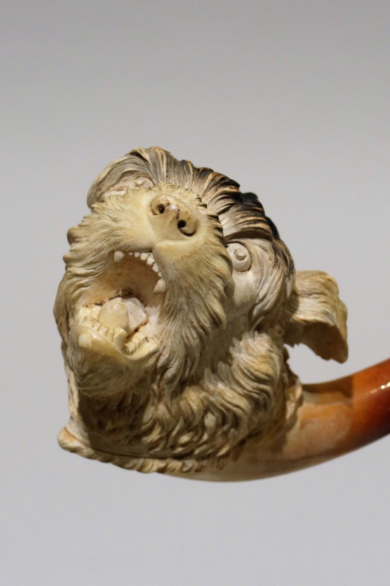 Meerschaum Pipe Representing A Griffon Breed Dog-photo-2