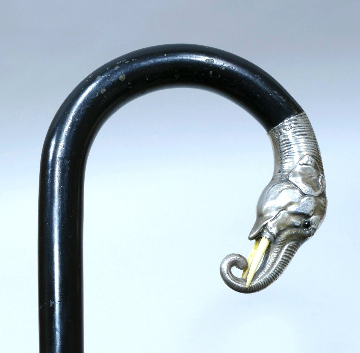 Collection Cane With Silver  Handle Representing An Elephant Head-photo-2