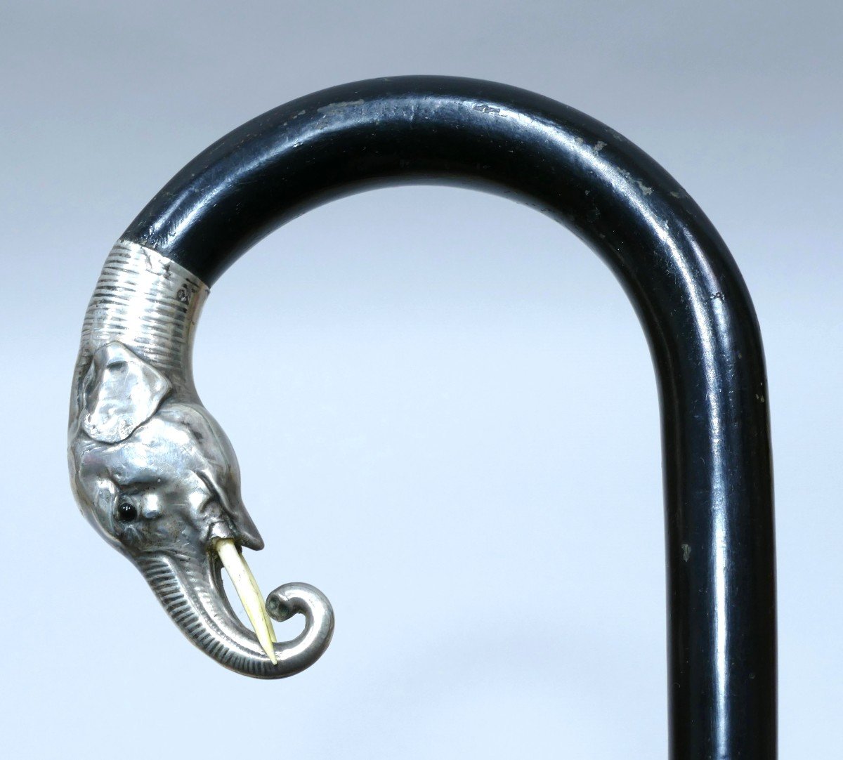 Collection Cane With Silver  Handle Representing An Elephant Head