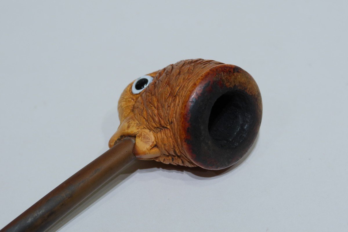 Meerschaum Pipe Representing A Parrot Head-photo-1