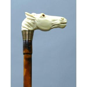 Collection Cane With Ivory Handle Representing A Horse's Head