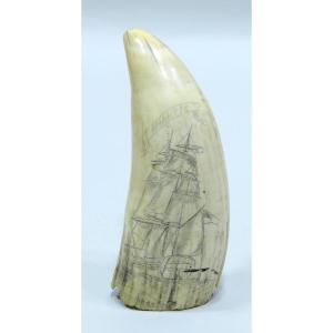 19th-century Sperm Whale Tooth Representing The English Ship Niantic
