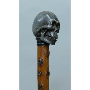 Collection Cane With Skull Horn Handle