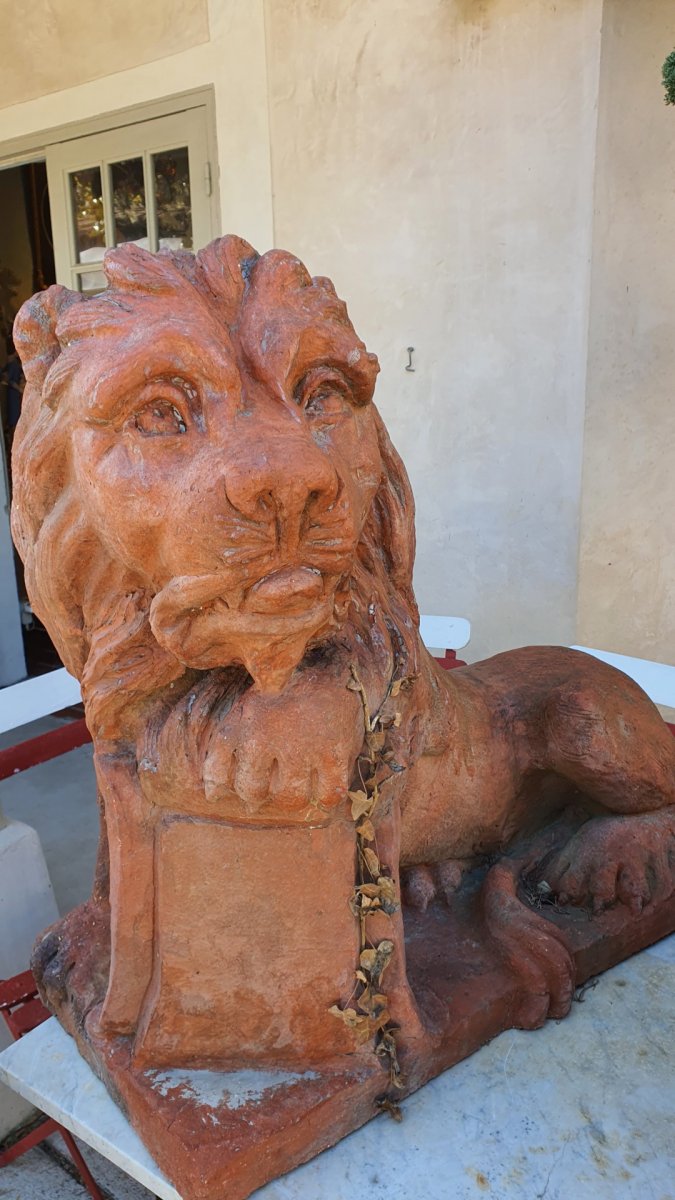 Pair Of Lions In Terracotta-photo-3