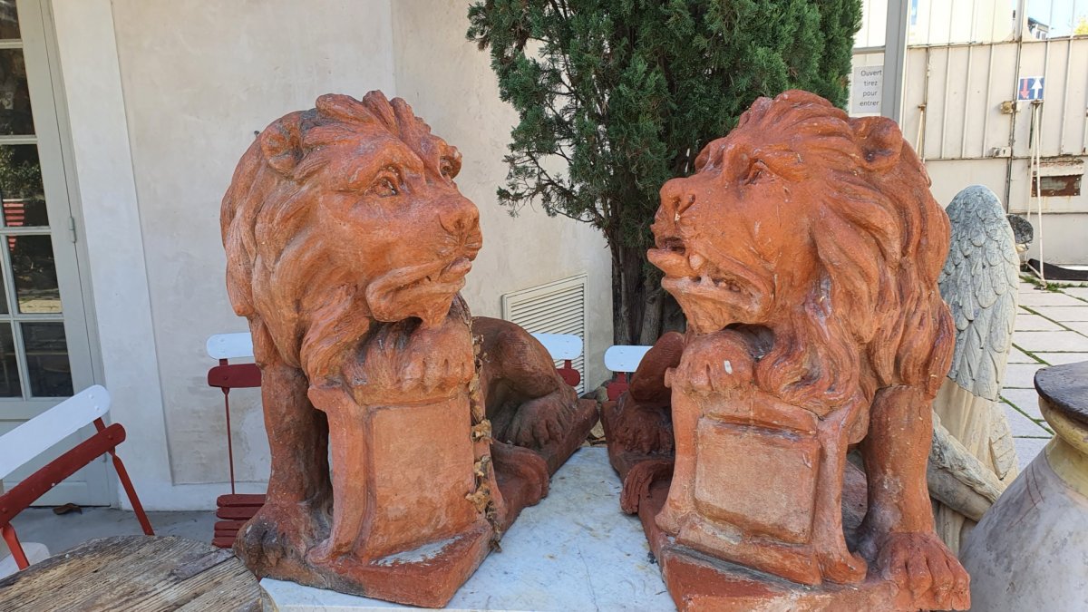 Pair Of Lions In Terracotta-photo-5