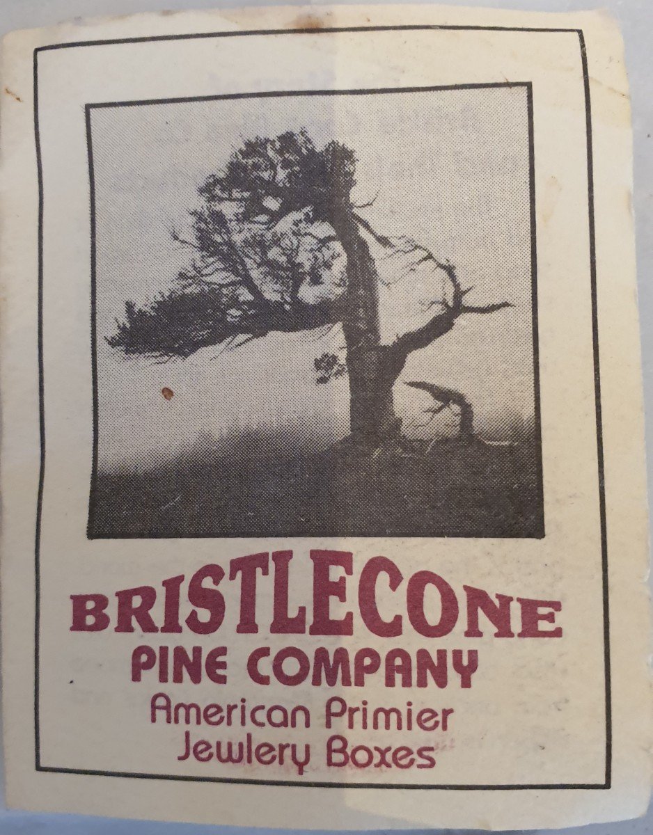 American Bristelcome Pine Box-photo-2