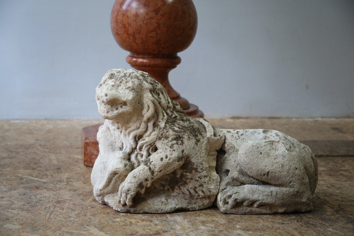 Lion sculpté en pierre calcaire, XVème siècle.-photo-3