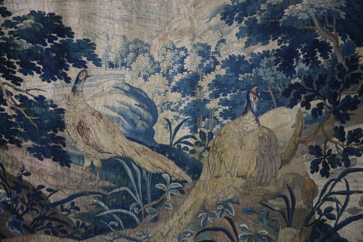 Tapisserie d’Audenarde, verdure aux faisans, XVIIIème siècle.-photo-4