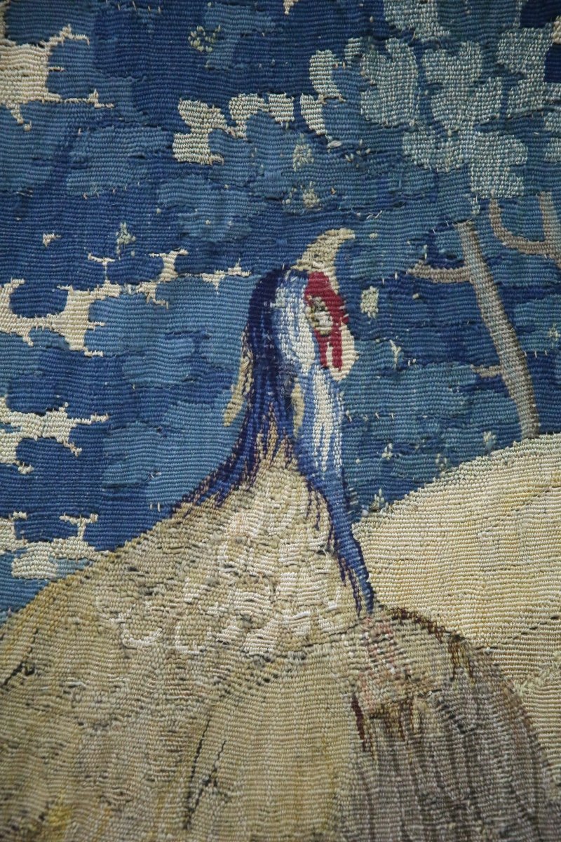 Tapisserie d’Audenarde, verdure aux faisans, XVIIIème siècle.-photo-3
