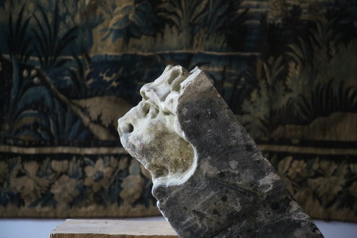 Masque de fontaine, mascaron félin en pierre XVIIIes-photo-4