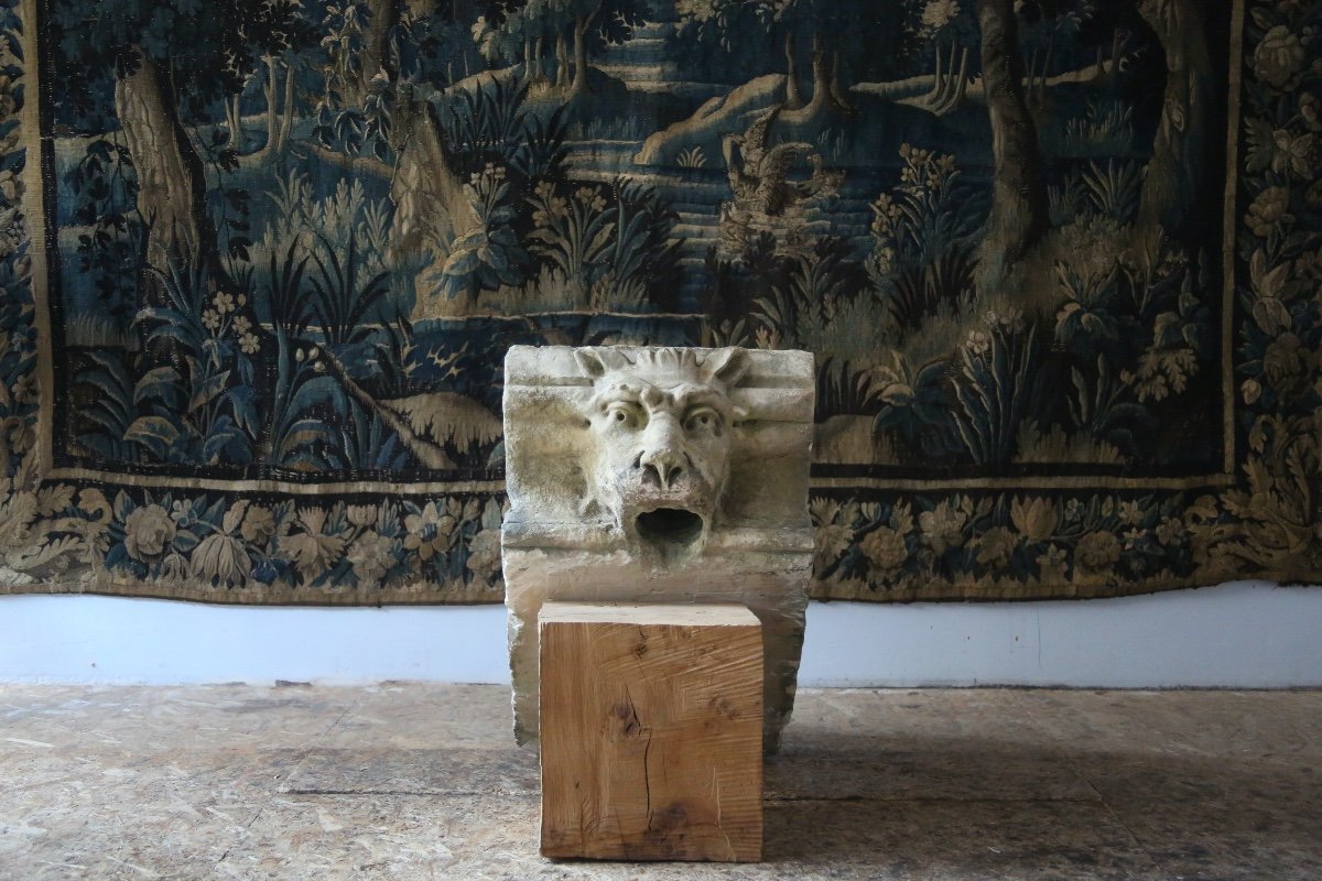 Masque de fontaine, mascaron félin en pierre XVIIIes