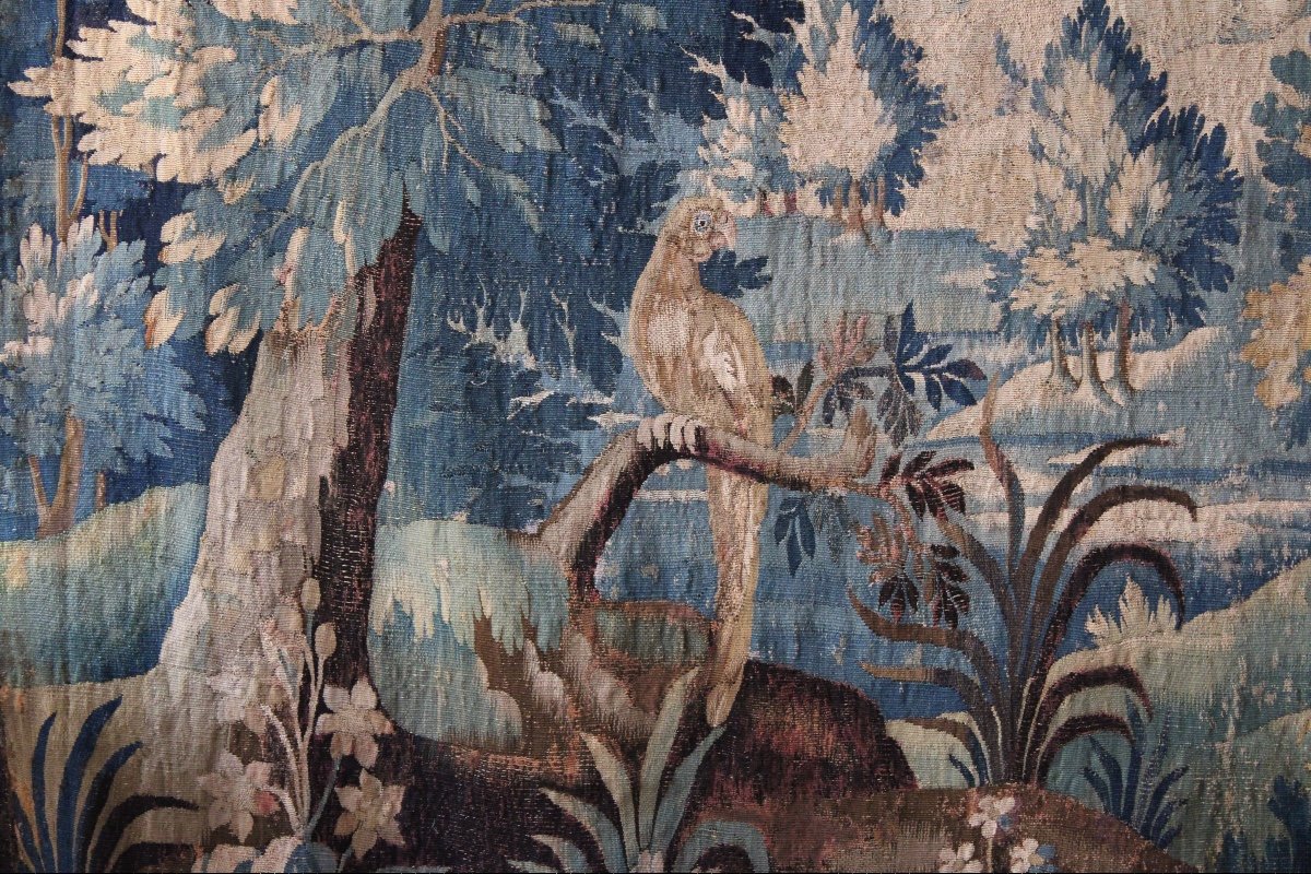  Aubusson Tapestry, Verdure With Parrot, 18th Century-photo-4