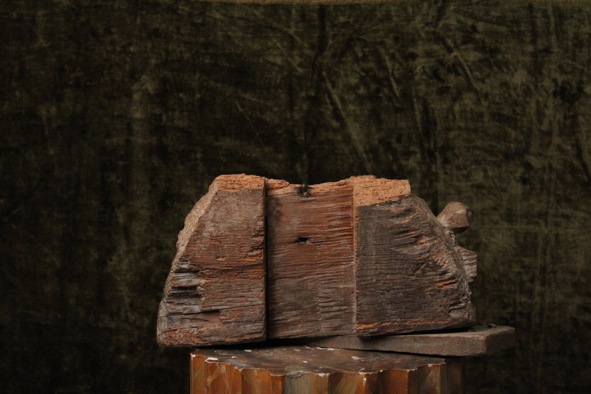 Memento Mori Ou Vanité en bois sculpté, XVIIème Siècle-photo-4