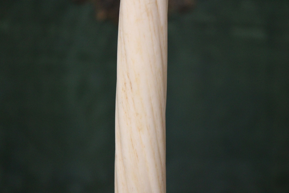 Rostrum/narwhal Tooth, 20th Century, Greenland-photo-2