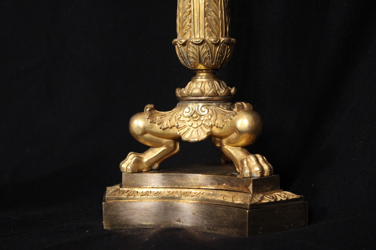 Pair Of 6-light Candelabras, In Gilded Bronze, From The 19th Louis-philippe Period-photo-2