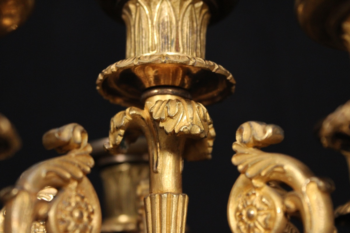 Pair Of 6-light Candelabras, In Gilded Bronze, From The 19th Louis-philippe Period-photo-4