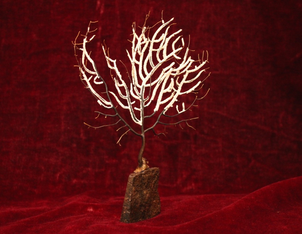 Curiosity Item - Gorgon Mounted On A Swedish Porphyry Base-photo-4