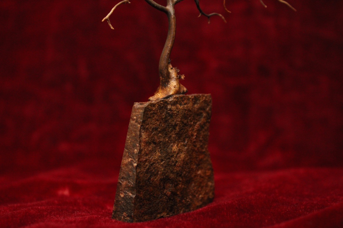 Curiosity Item - Gorgon Mounted On A Swedish Porphyry Base-photo-2