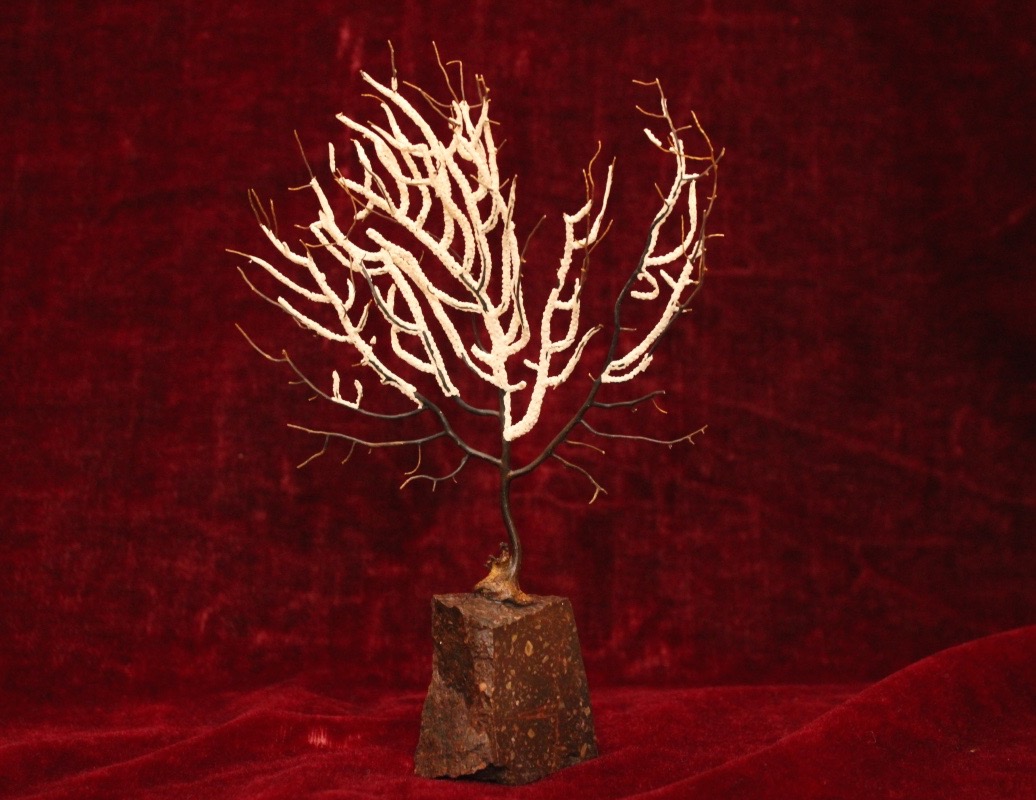 Curiosity Item - Gorgon Mounted On A Swedish Porphyry Base