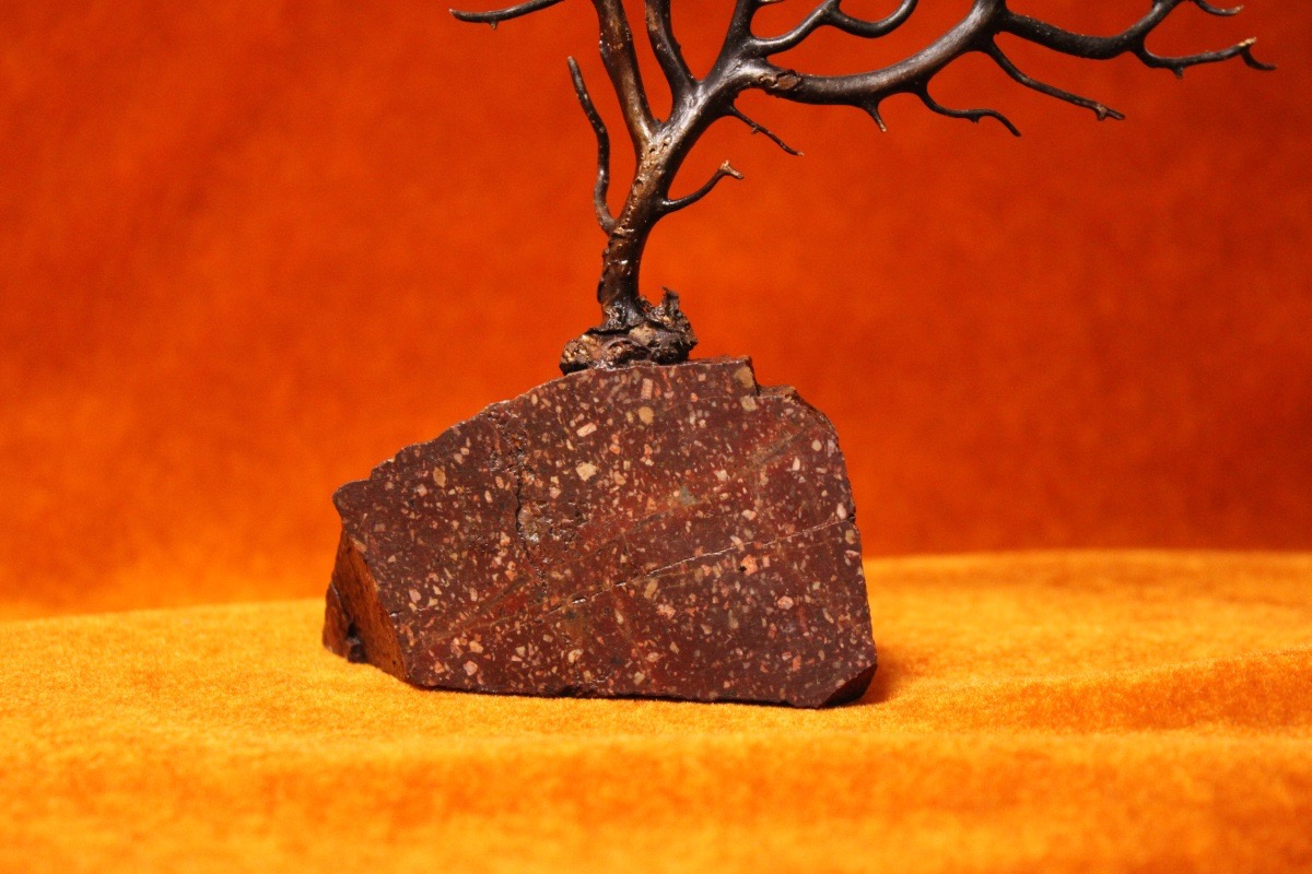  Objet de curiosité - Gorgone montée sur socle en porphyre de Suède-photo-2
