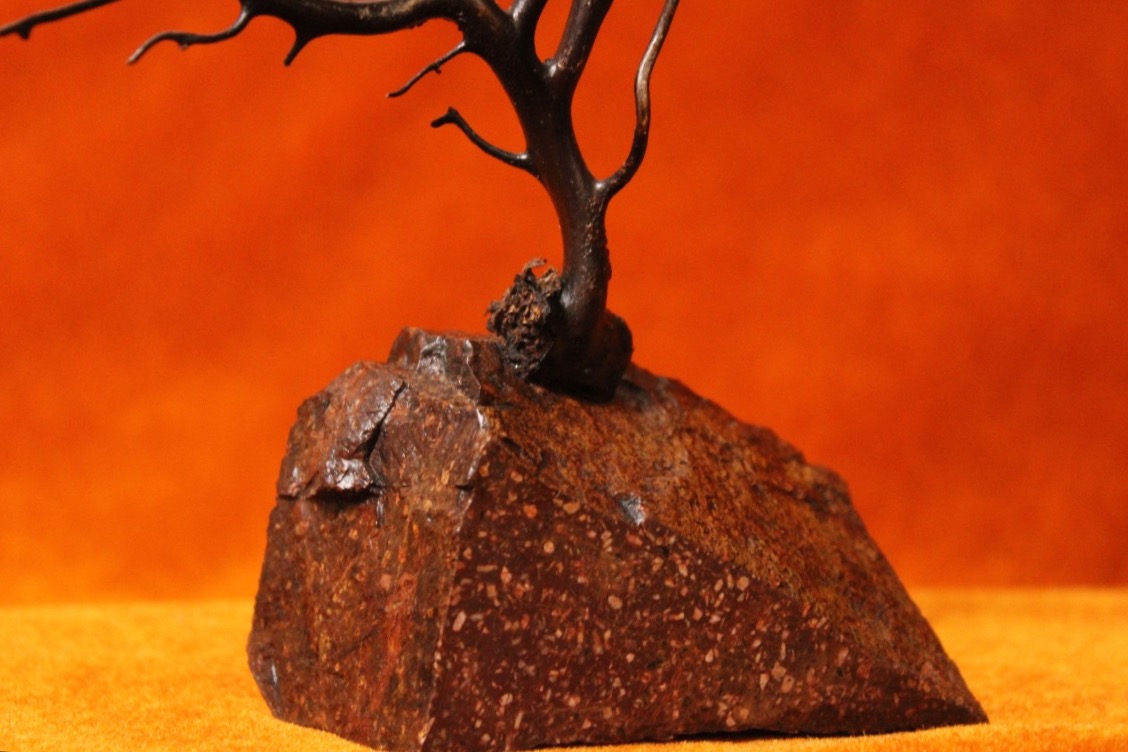  Objet de curiosité - Gorgone montée sur socle en porphyre de Suède-photo-4