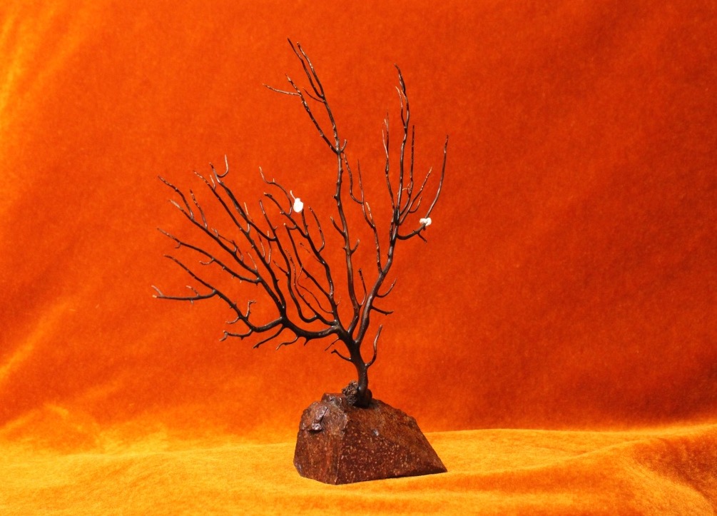  Objet de curiosité - Gorgone montée sur socle en porphyre de Suède-photo-1