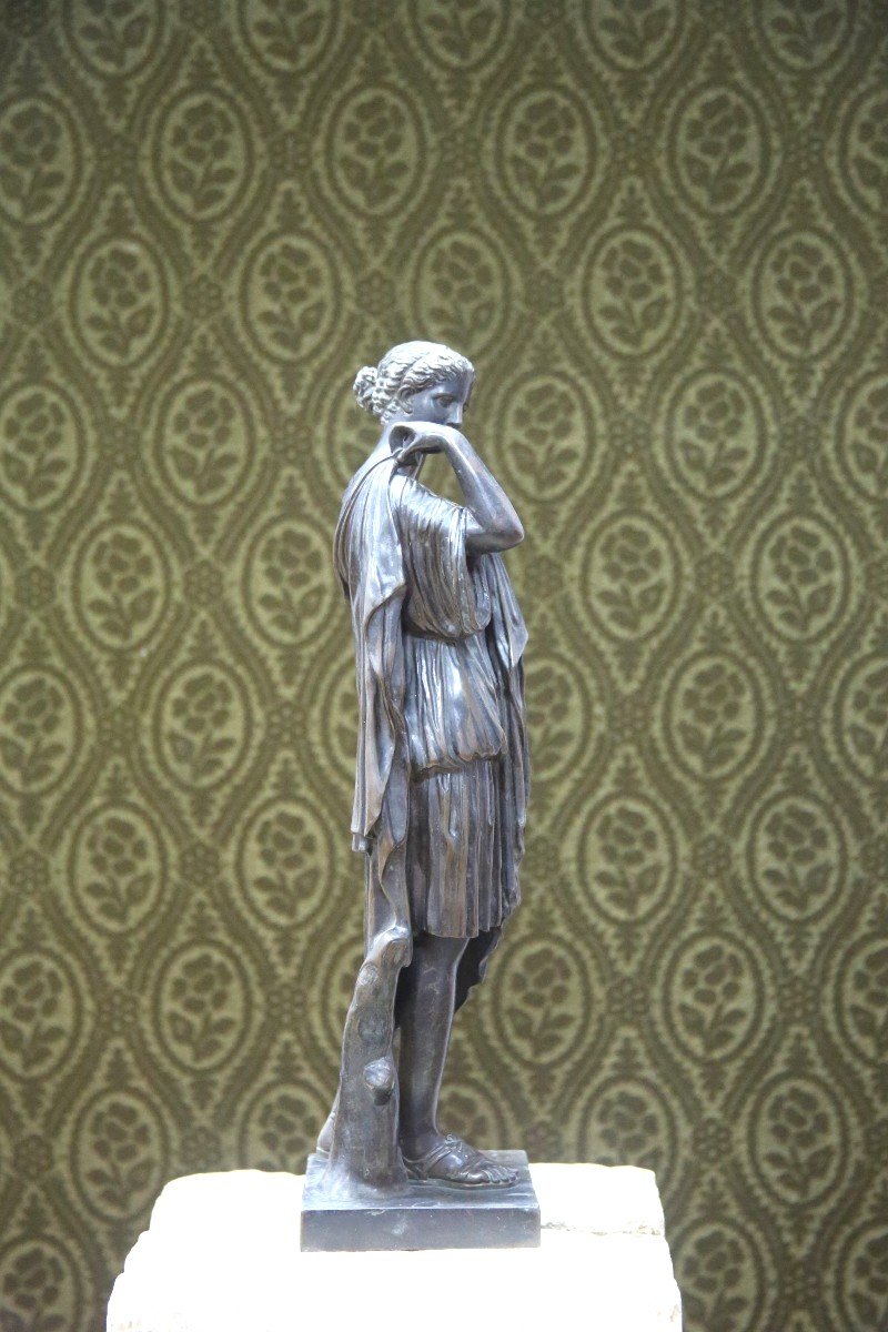 Diane de Gabies en bronze à patine brune , Fin Du XIXème Siècle-photo-4