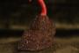 1800627-6a67a3ed72846.jpg