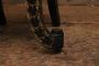1814321-alb-6a946864edf27.jpg
