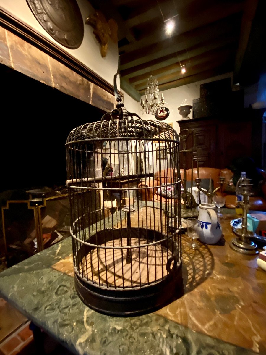 Grande Cage à Perroquet En Bois.  XIX  E Siècle-photo-4