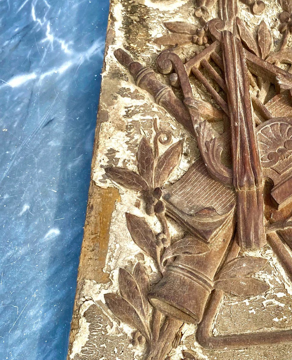 Richly Carved Woodwork Panel 18th Century. Louis XV Period. -photo-4
